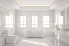 White bathroom designs