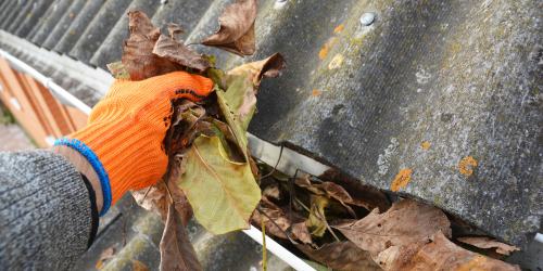 Clean Gutters and Drainpipes