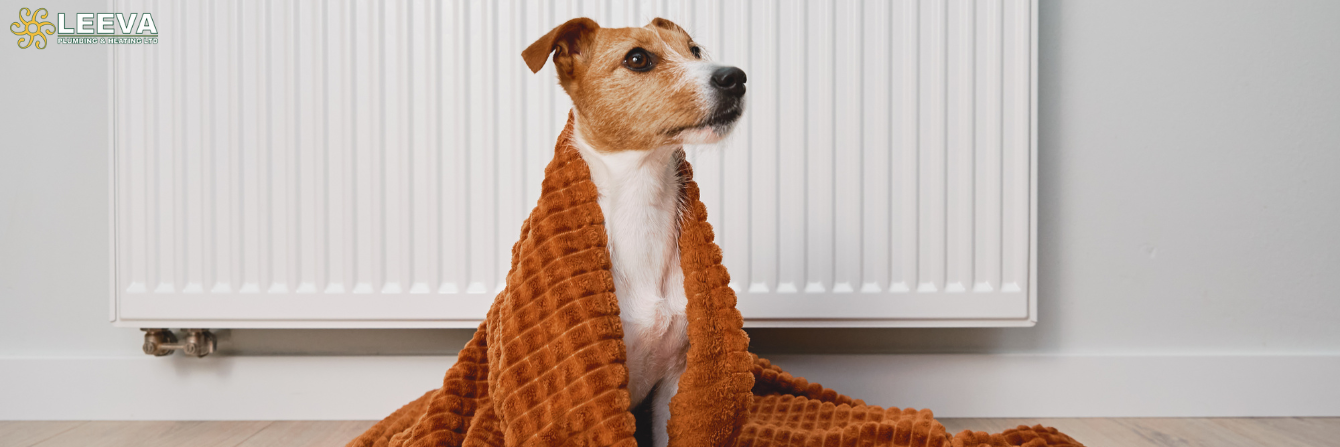 Boiler on the Blitz Leeva Plumbing & Heating’s Top 10 Tips to Stay Warm Until We Get to You